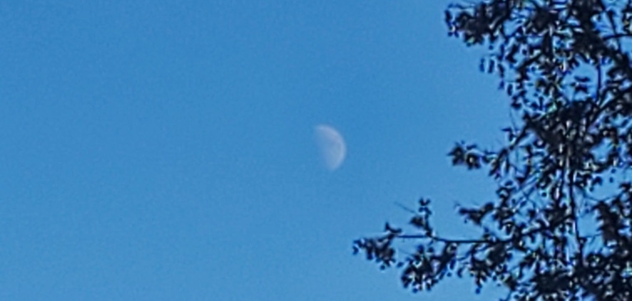 Moon over Phoenix